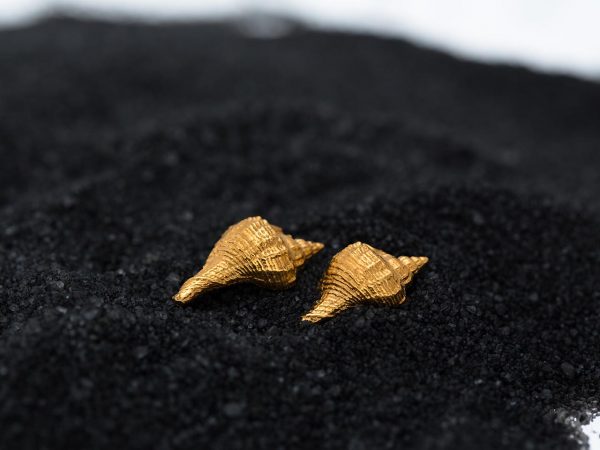 Hand Made Sterling Silver Gold Plated Murex Seashell Studs