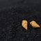 Hand Made Sterling Silver Gold Plated Sea Snail Studs